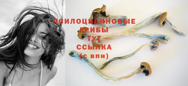 сатива Алзамай