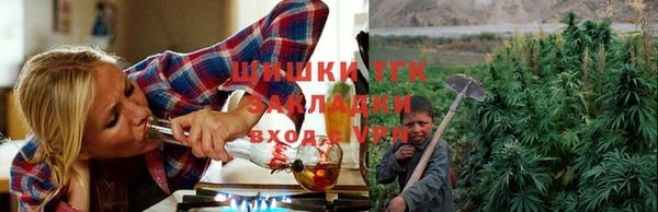 сатива Алзамай