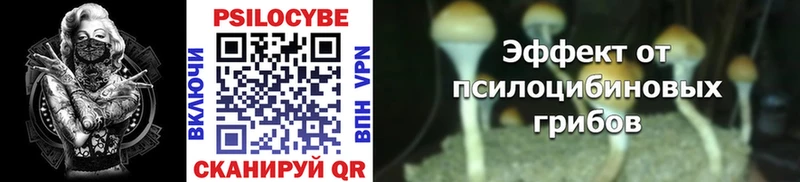 цена наркотик  Александровское  Галлюциногенные грибы Cubensis 